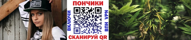 МАРИХУАНА ГИДРОПОН  Белая Холуница 